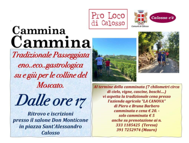220717 cammina cammina