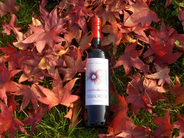 120903 gambadipernice