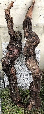 191001 mad rohstoffe 2 2