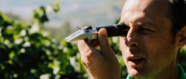 230416 Maurizio Domanda