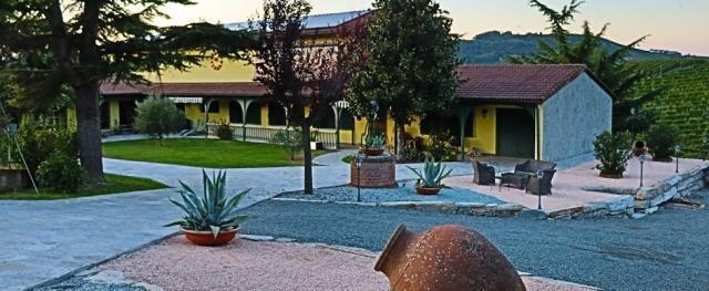 1910 cnv amphore einfahrt pozzo2 launch